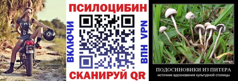 MEGA вход  Владивосток  Псилоцибиновые грибы MAGIC MUSHROOMS 
