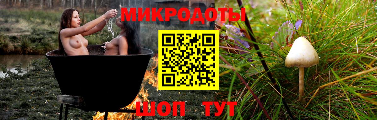 Галлюциногенные грибы GOLDEN TEACHER Владивосток