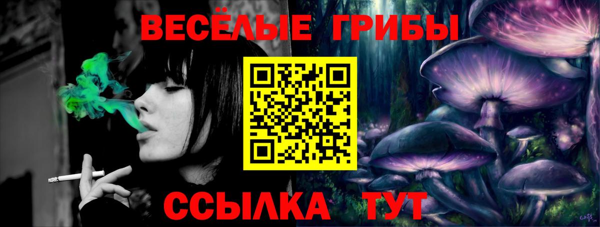 Галлюциногенные грибы Psilocybe  Вход с VPN  Владивосток  Галлюциногенные грибы Psilocybe 